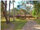 11 Griffiths Avenue, Medowie NSW 2318