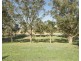 336 CABBAGE TREE ROAD, Williamtown NSW 2318