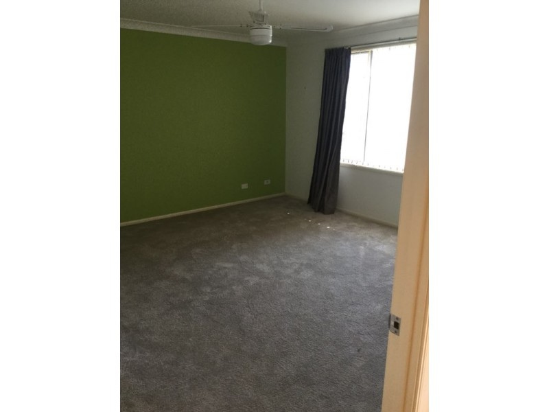 17 Grevillea Drive, Medowie NSW 2318