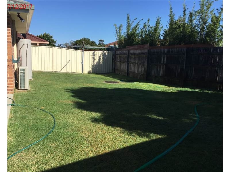 Medowie NSW 2318