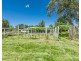 4 Fairlands Road, Medowie NSW 2318