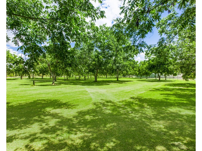 41 Lisadell Road, Medowie NSW 2318