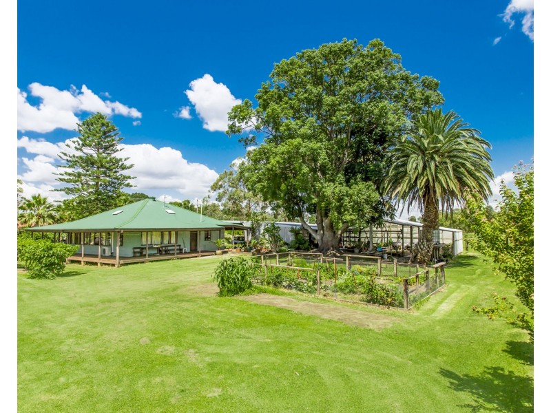 41 Lisadell Road, Medowie NSW 2318