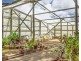 41 Lisadell Road, Medowie NSW 2318