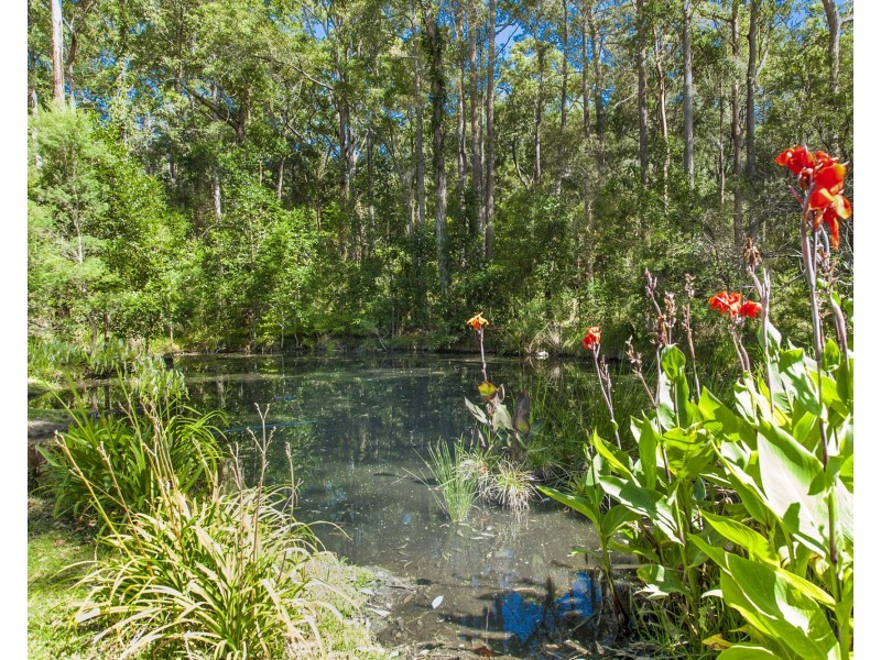 1195 THE BUCKETTS WAY, Limeburners Creek NSW 2324