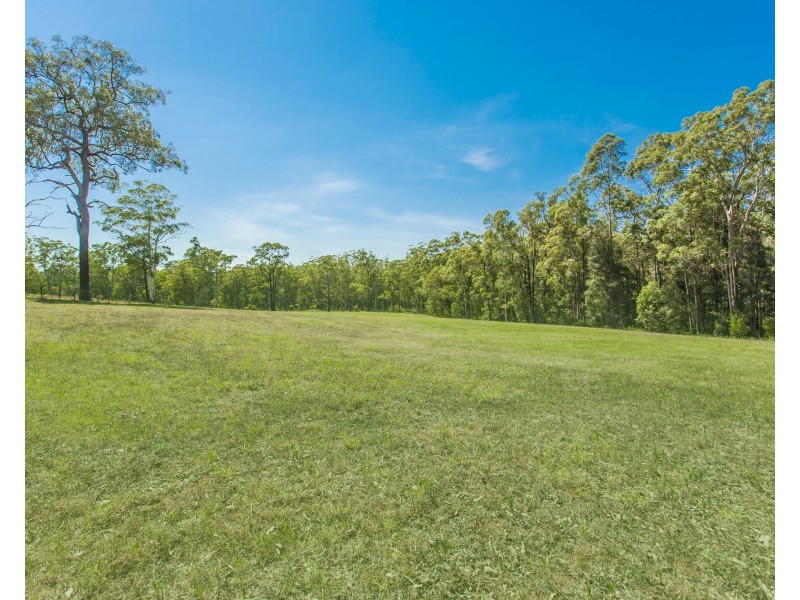 1195 THE BUCKETTS WAY, Limeburners Creek NSW 2324