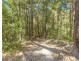 1195 THE BUCKETTS WAY, Limeburners Creek NSW 2324