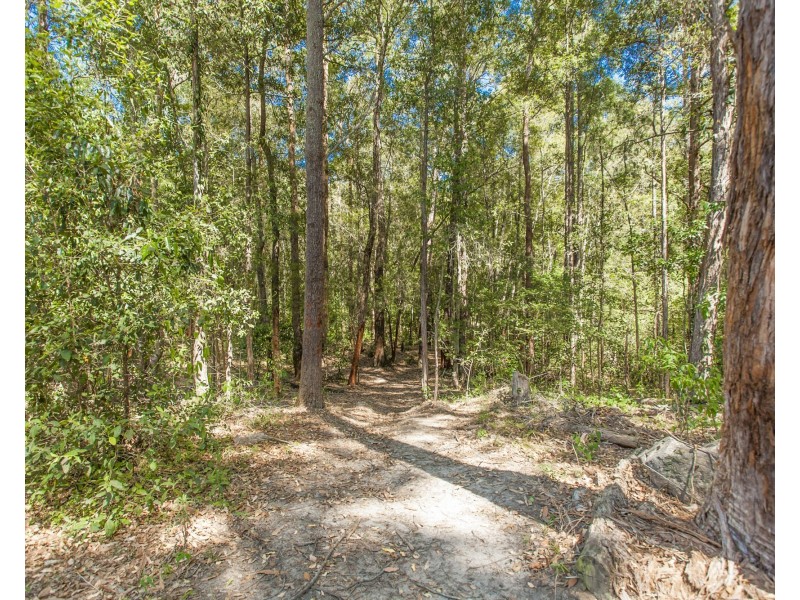 1195 THE BUCKETTS WAY, Limeburners Creek NSW 2324