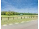 13 Pastures Drive, Medowie NSW 2318