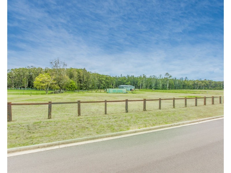 13 Pastures Drive, Medowie NSW 2318