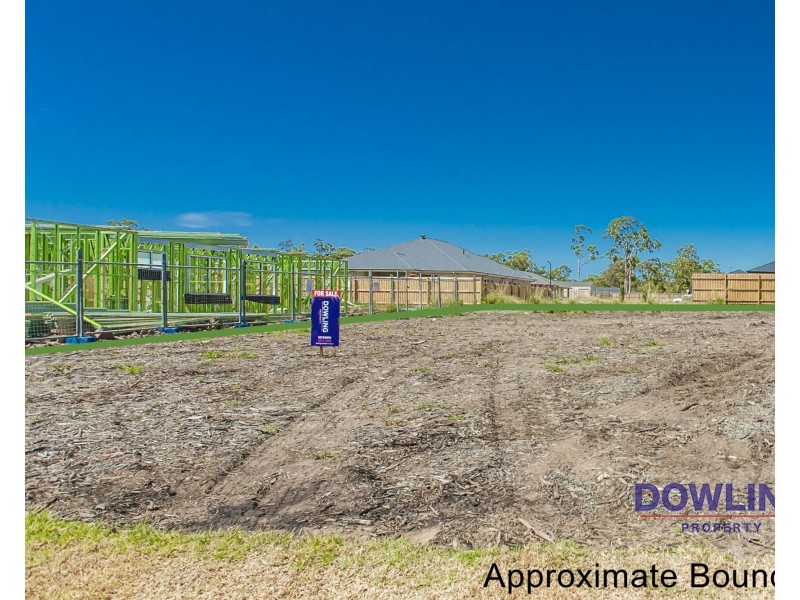 19 Liberty Drive, Medowie NSW 2318