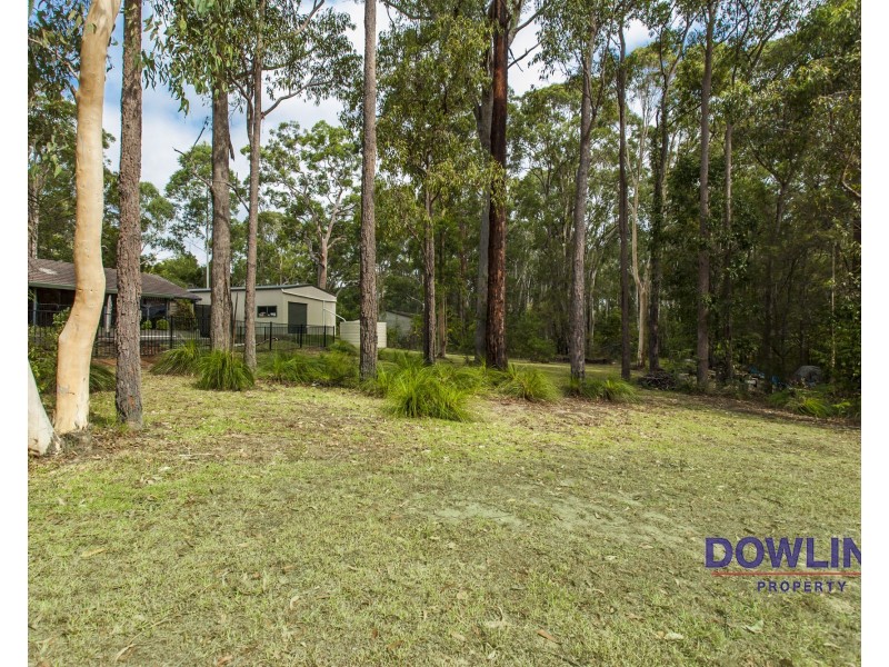 17 Wellard Close, Medowie NSW 2318