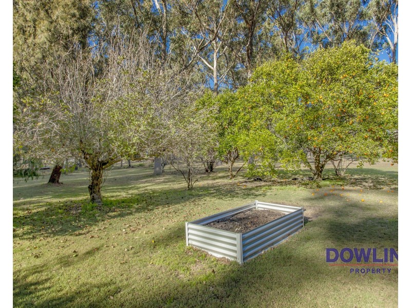 98 James Road, Medowie NSW 2318