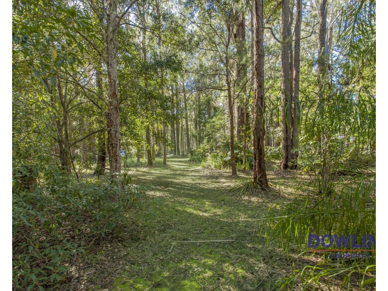 98 James Road, Medowie NSW 2318