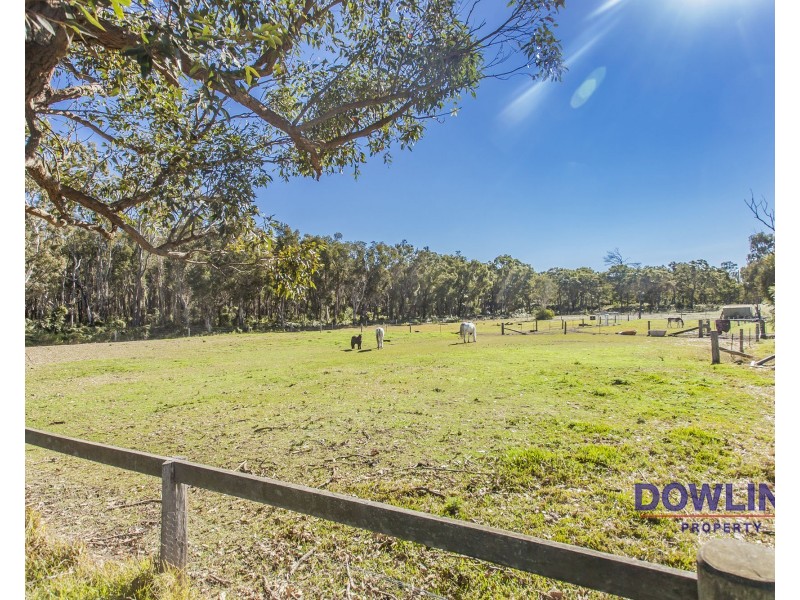 350 Cabbage Tree Road, Williamtown NSW 2318