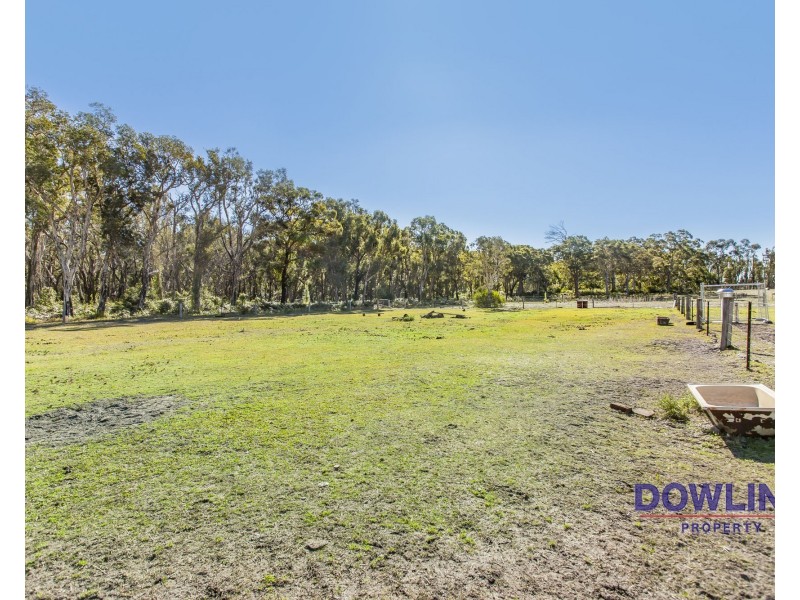 350 Cabbage Tree Road, Williamtown NSW 2318