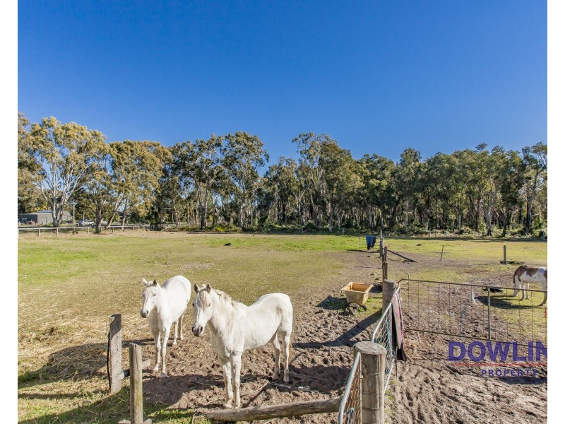 350 Cabbage Tree Road, Williamtown NSW 2318