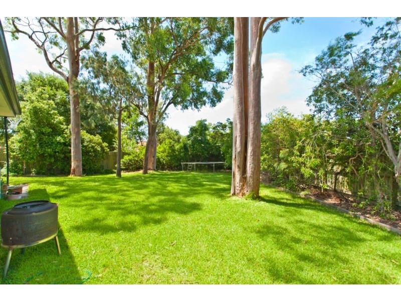15 Gwalia Close, Medowie NSW 2318