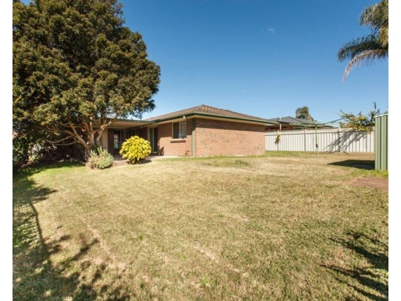 146 Coachwood Drive, Medowie NSW 2318