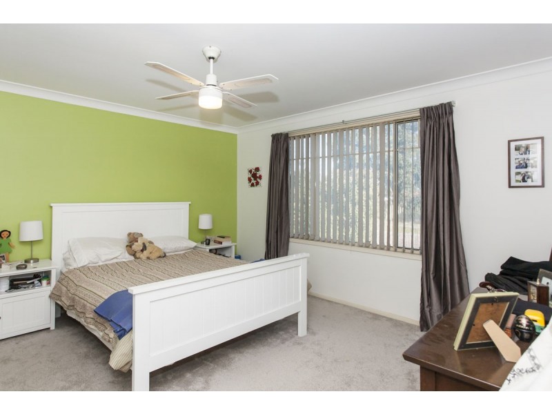 17 Grevillea Drive, Medowie NSW 2318