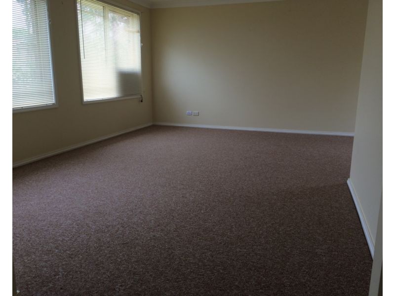 114 Coachwood Drive, Medowie NSW 2318