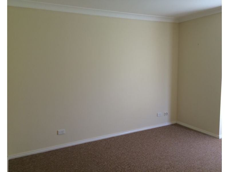 114 Coachwood Drive, Medowie NSW 2318
