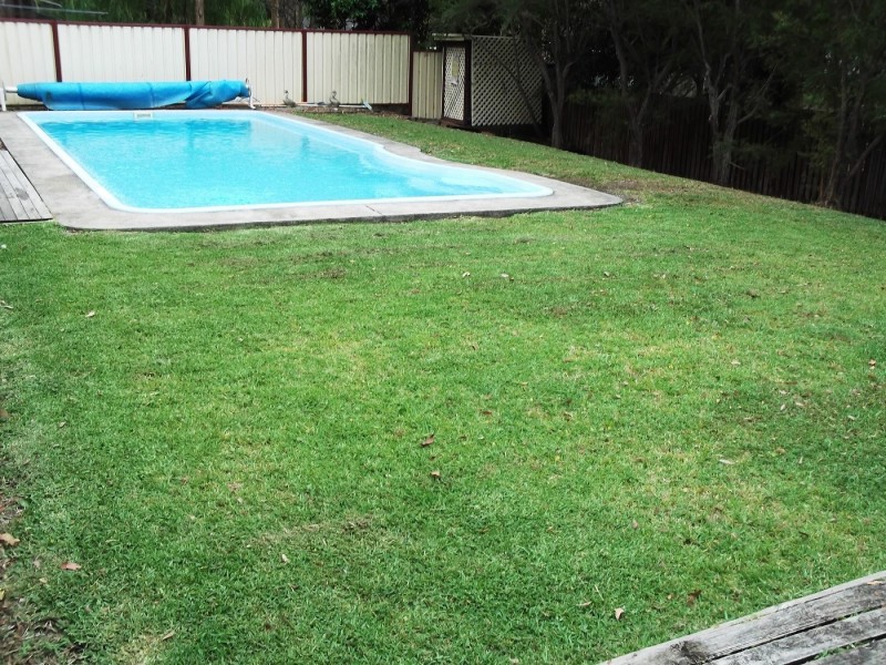 17 Abercrombie Road, Medowie NSW 2318