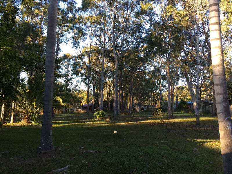 3 Griffiths Avenue, Medowie NSW 2318