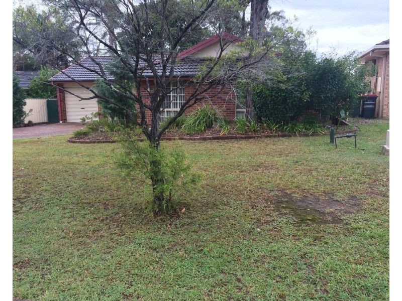 38 Rosewood Drive, Medowie NSW 2318