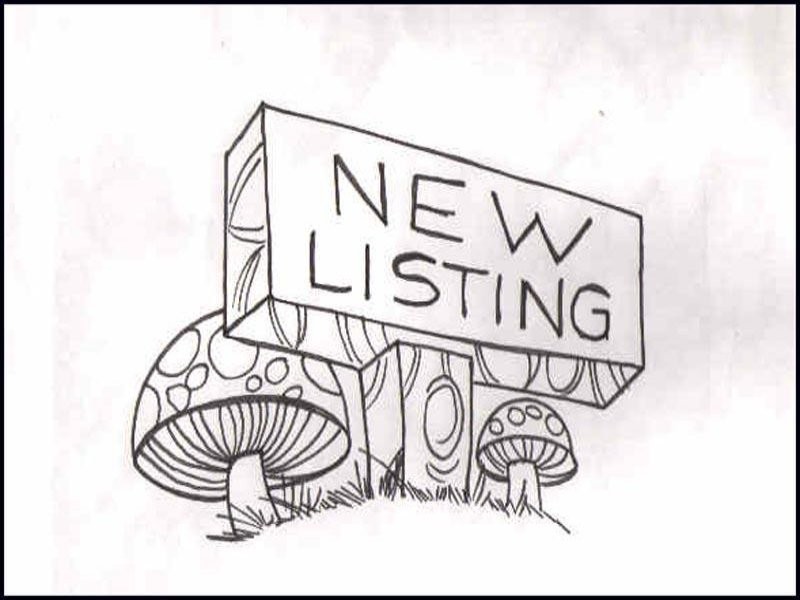 26C Kirrang Drive, Medowie NSW 2318