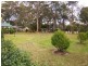 Medowie NSW 2318