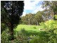 Medowie NSW 2318
