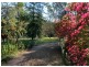 20 ABUNDANCE Rd, Medowie NSW 2318