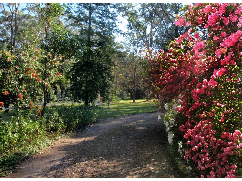 20 ABUNDANCE Rd, Medowie NSW 2318