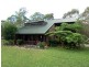 Medowie NSW 2318