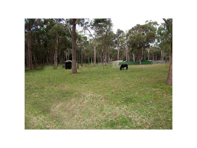 Medowie NSW 2318