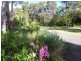 Medowie NSW 2318