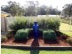 Medowie NSW 2318