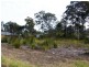Medowie NSW 2318