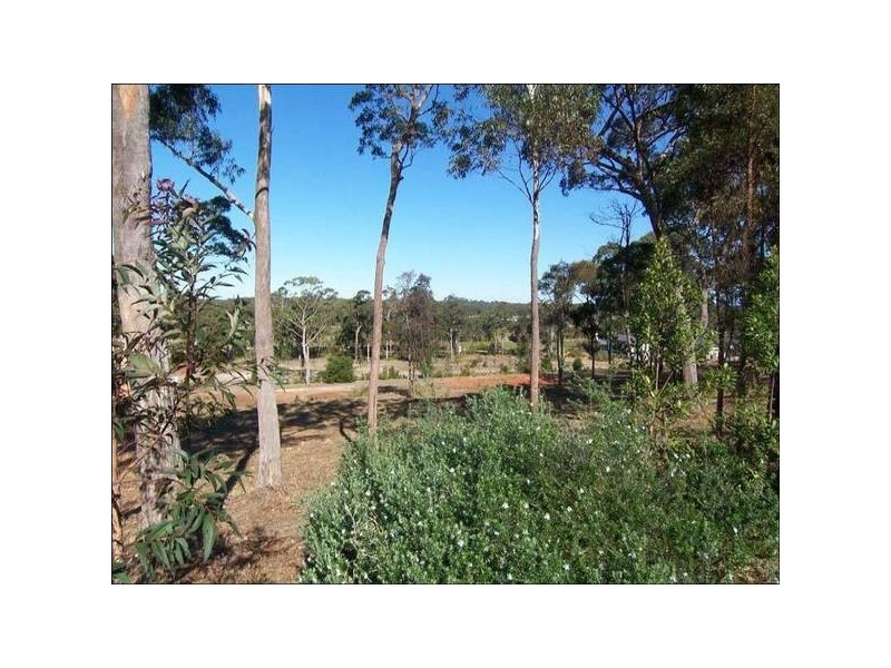 Medowie NSW 2318