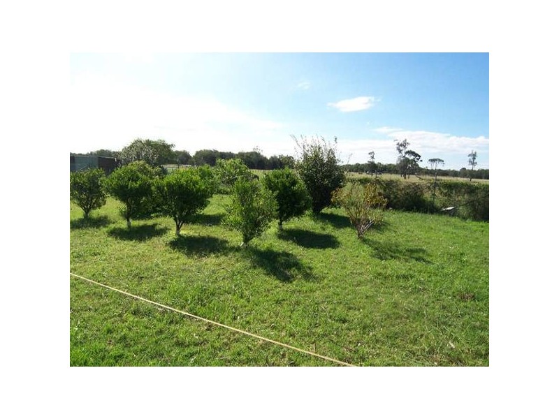 Williamtown NSW 2318