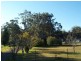 Medowie NSW 2318