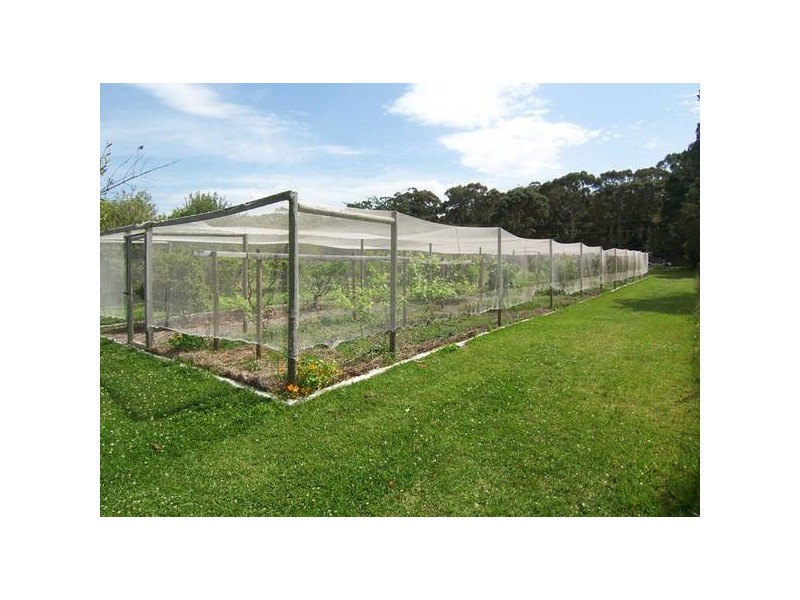 Medowie NSW 2318