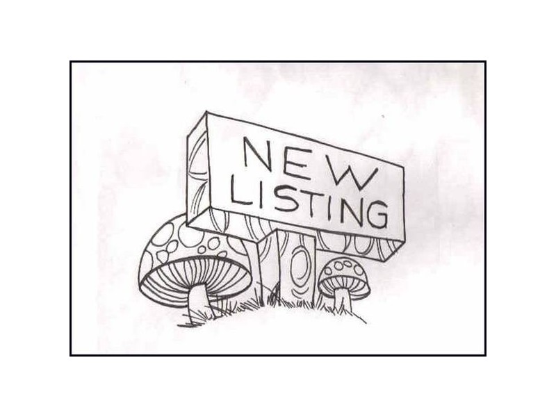 40 Kirrang Drive, Medowie NSW 2318