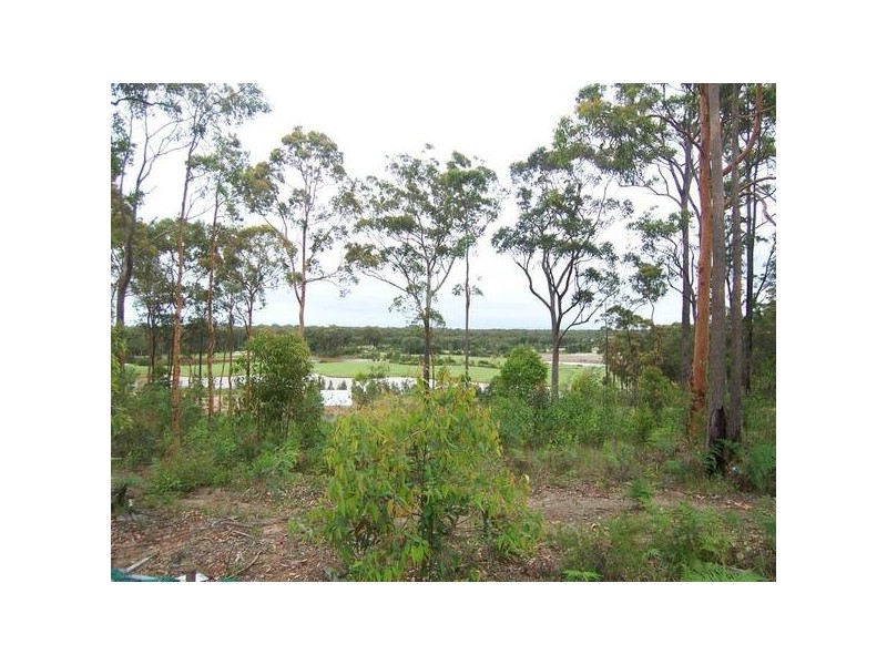 Medowie NSW 2318