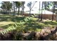 Medowie NSW 2318