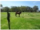 205 Lemon Tree Passage Road, Salt Ash NSW 2318