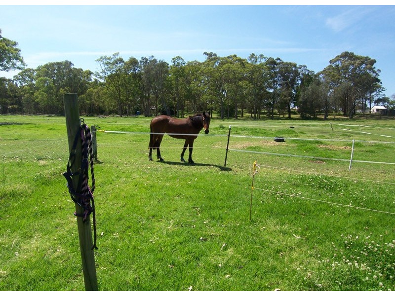 205 Lemon Tree Passage Road, Salt Ash NSW 2318