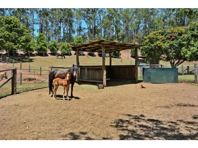 86 Woolleys Road, Glass House Mountains QLD 4518