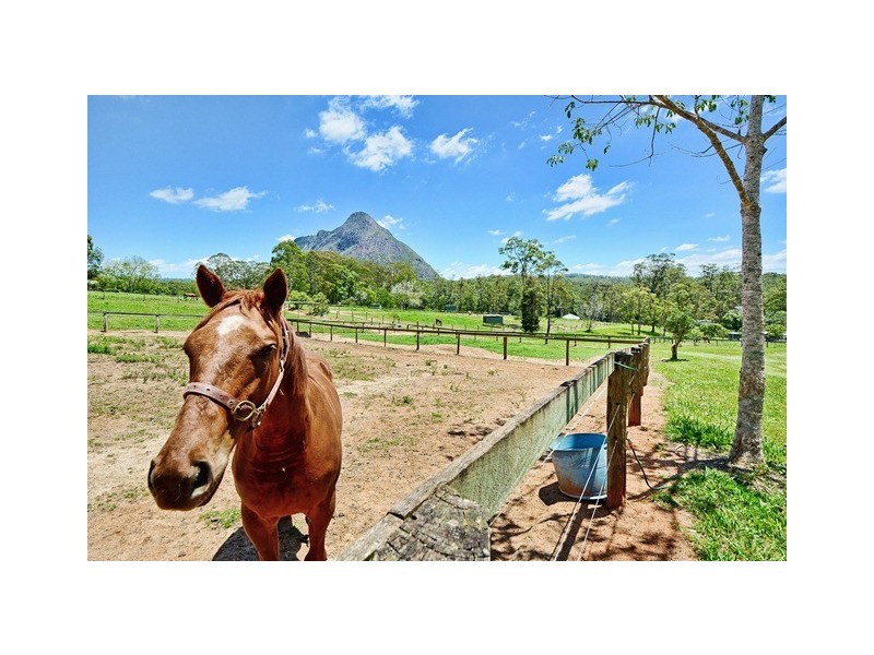 Glass House Mountains QLD 4518